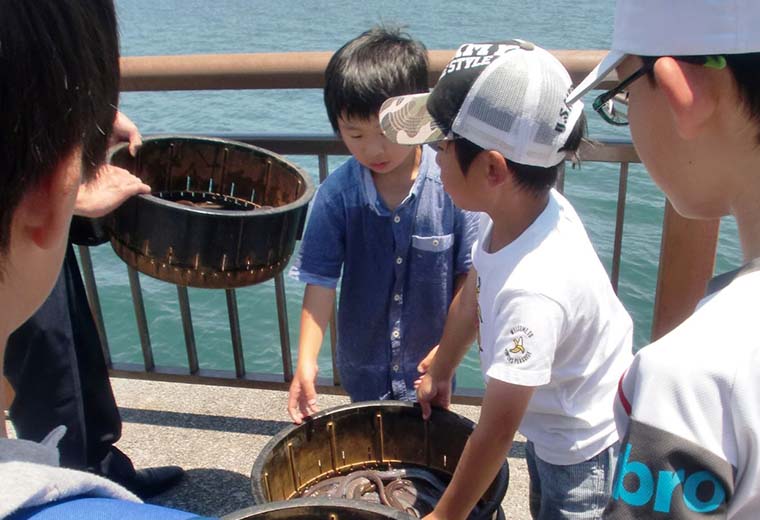 うなぎイベントへの参加