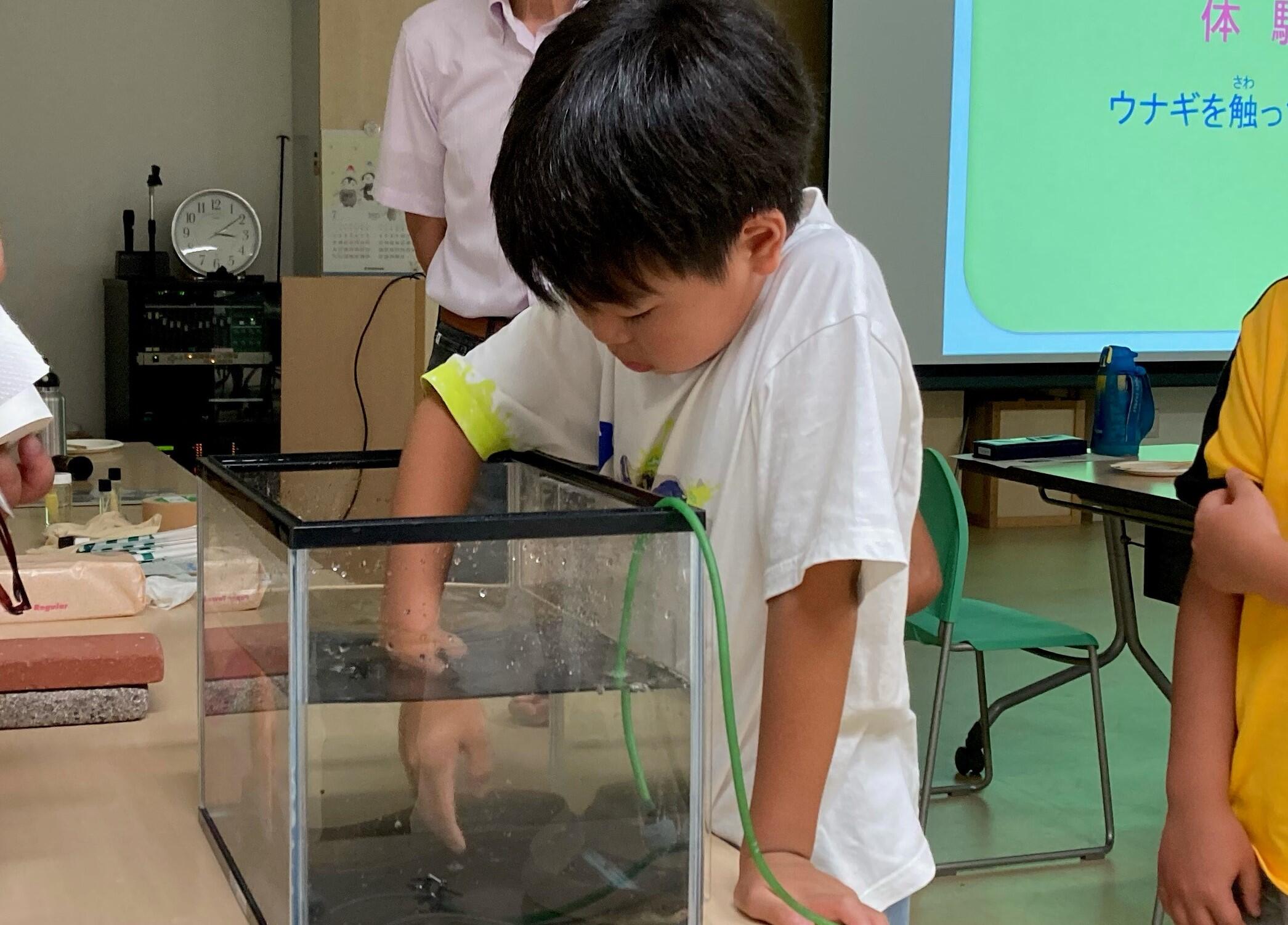 230801子ども未来館うなぎ.jpg